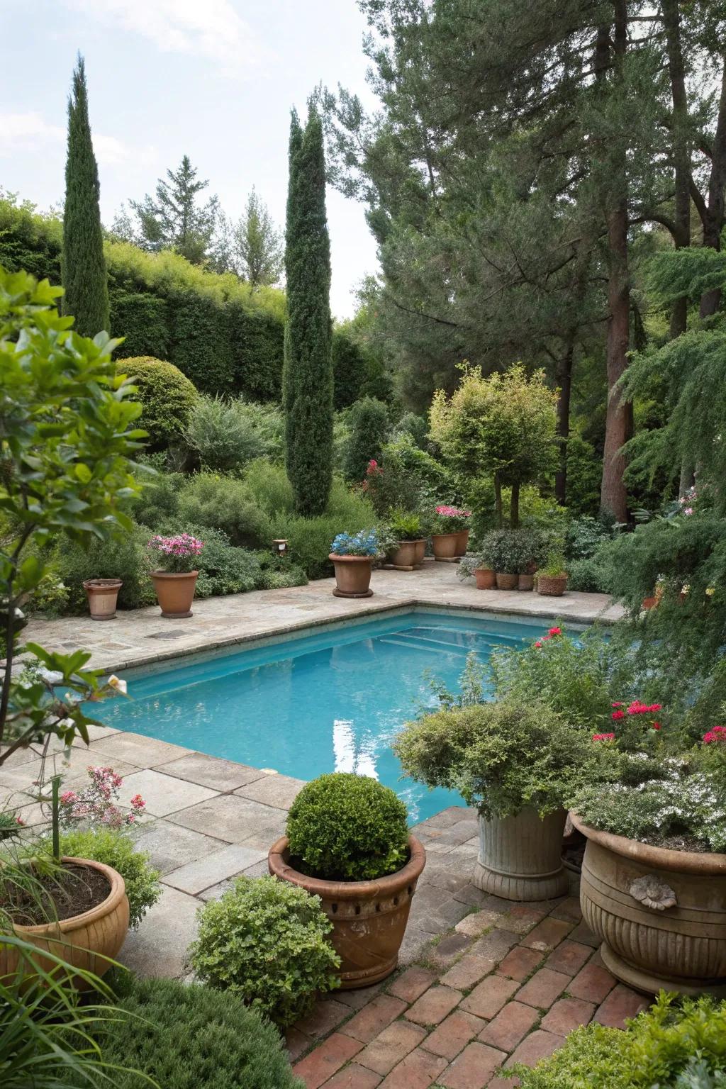 Lush greenery adds life and color around the pool.