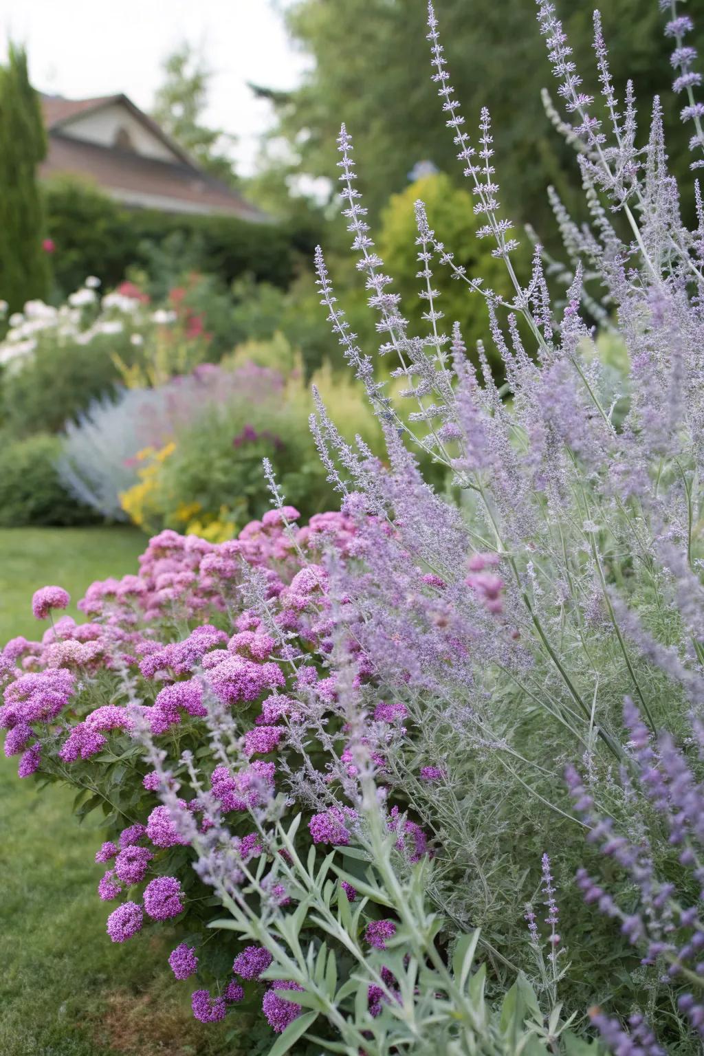 Russian sage and butterfly bush offer a captivating layered look.