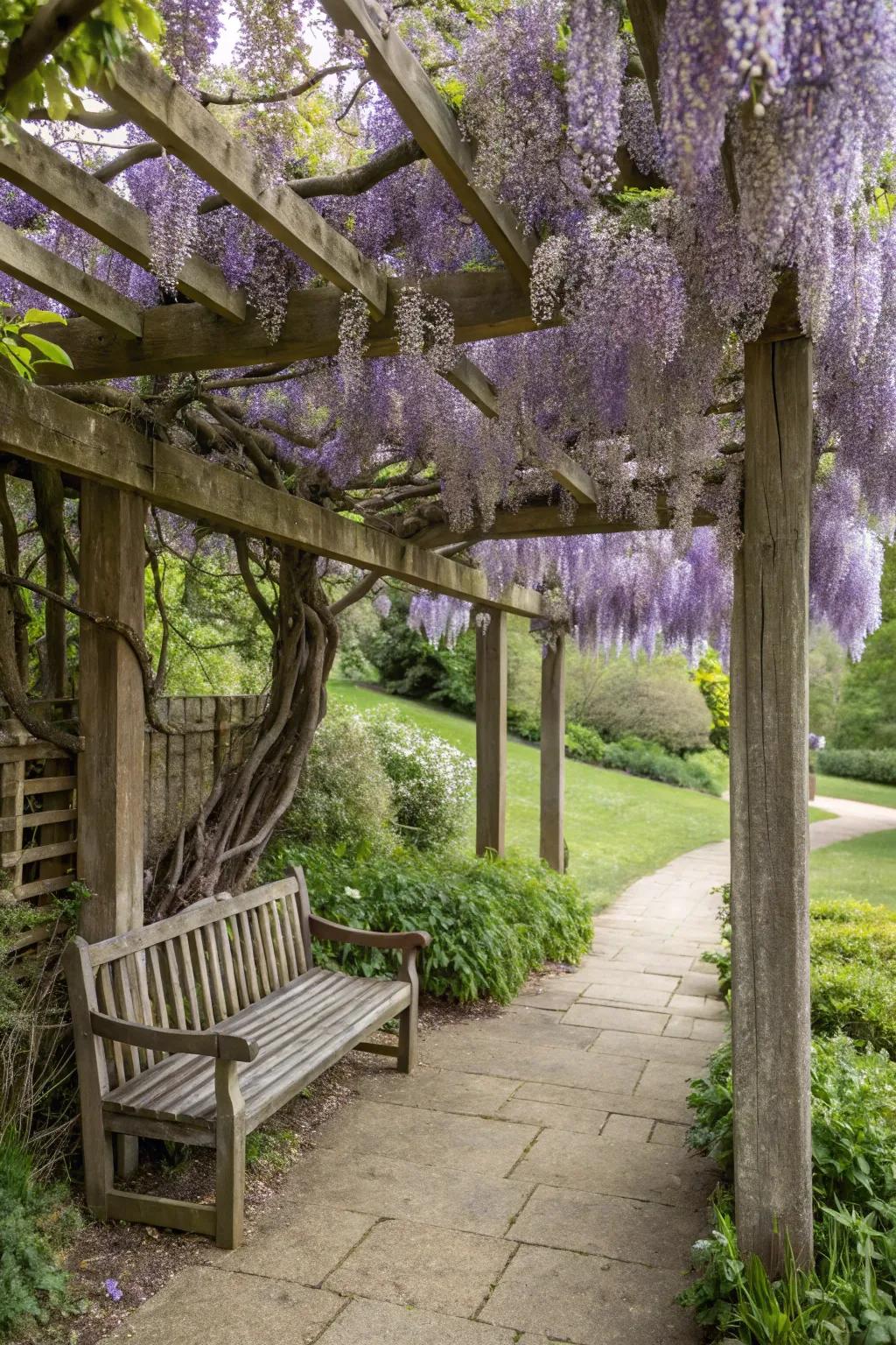 Climbing plants offer a fragrant and natural patio cover.