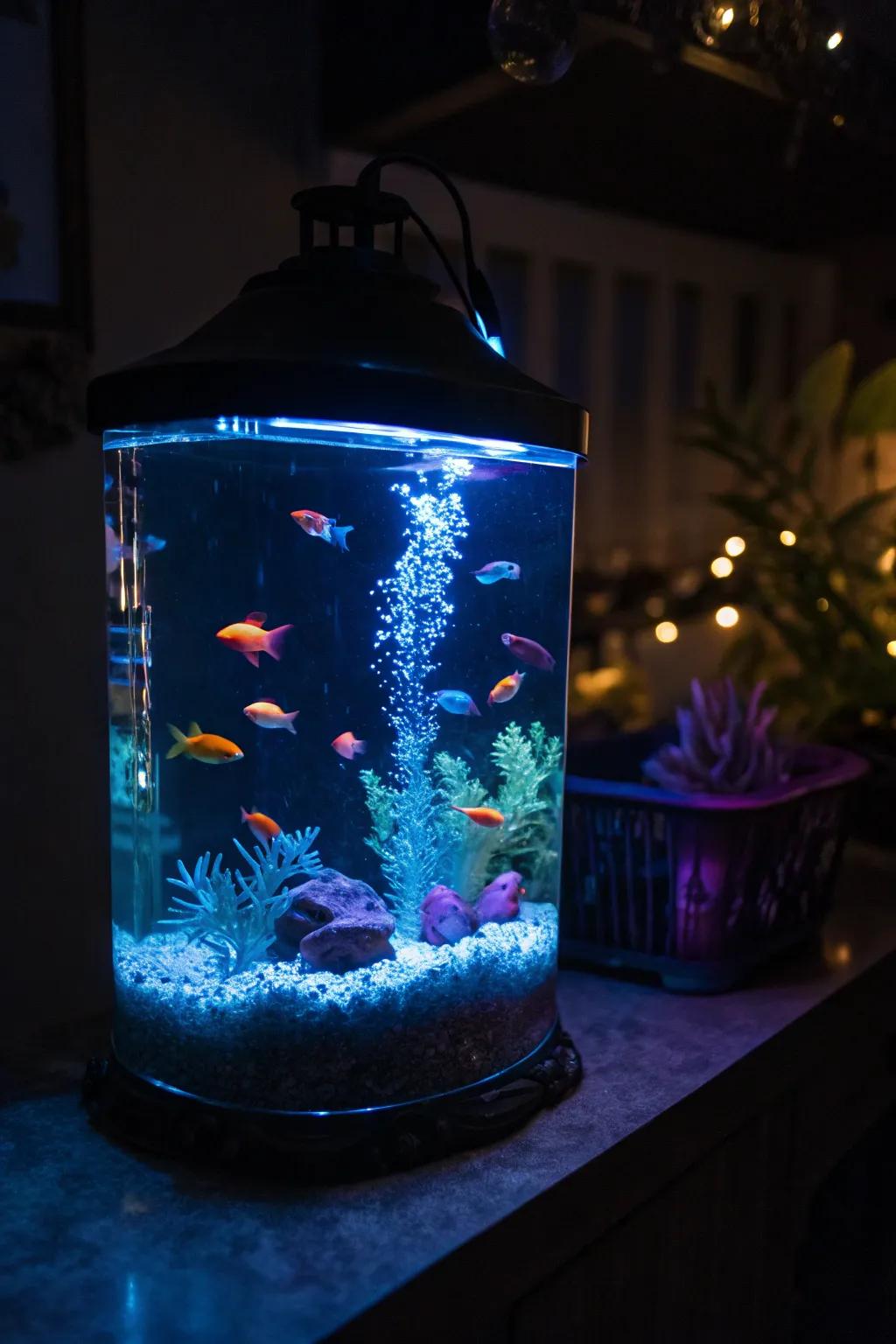 Glow-in-the-dark elements keep this tank lively even at night.