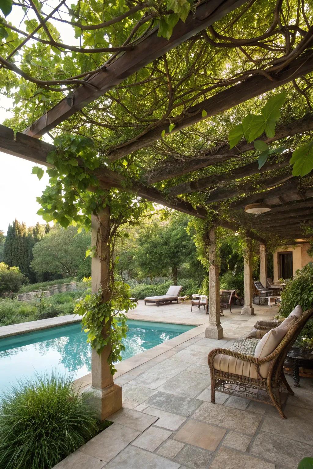 A pergola with vines adds shade and elegance to your patio.