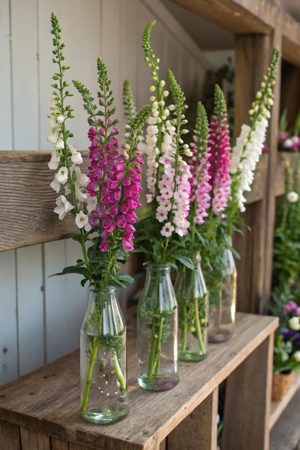 Glass bottles repurposed as containers fashion a sustainable arrangement.