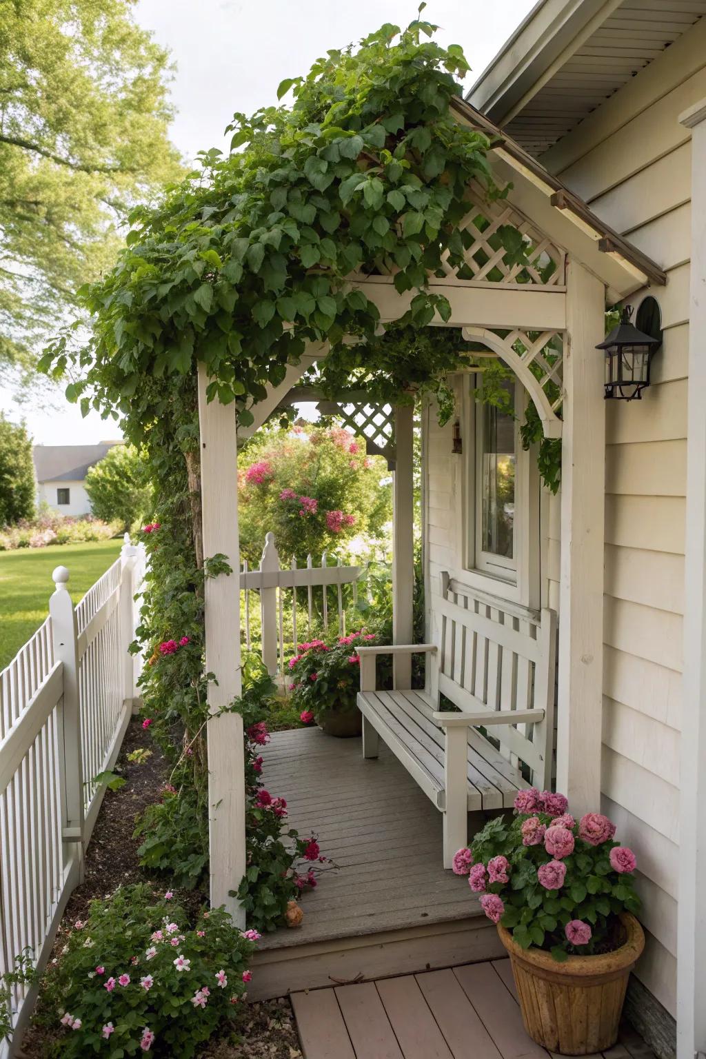 A miniature pergola offers shade and a touch of elegance.