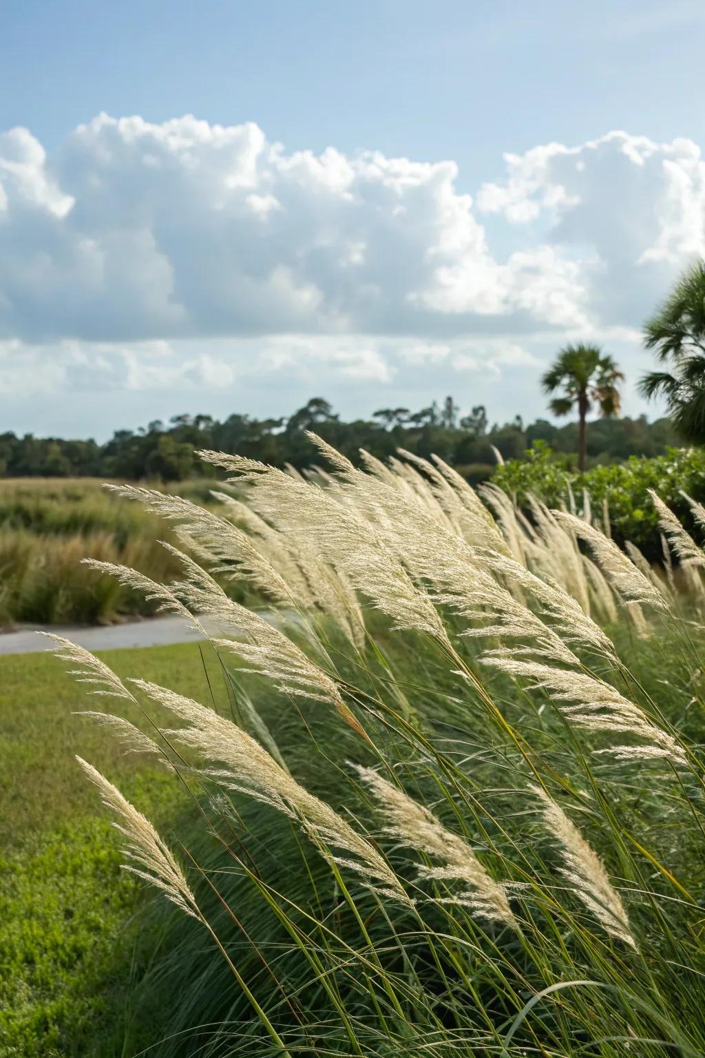 Decorative grasses breathe texture and motion into your garden's soul.