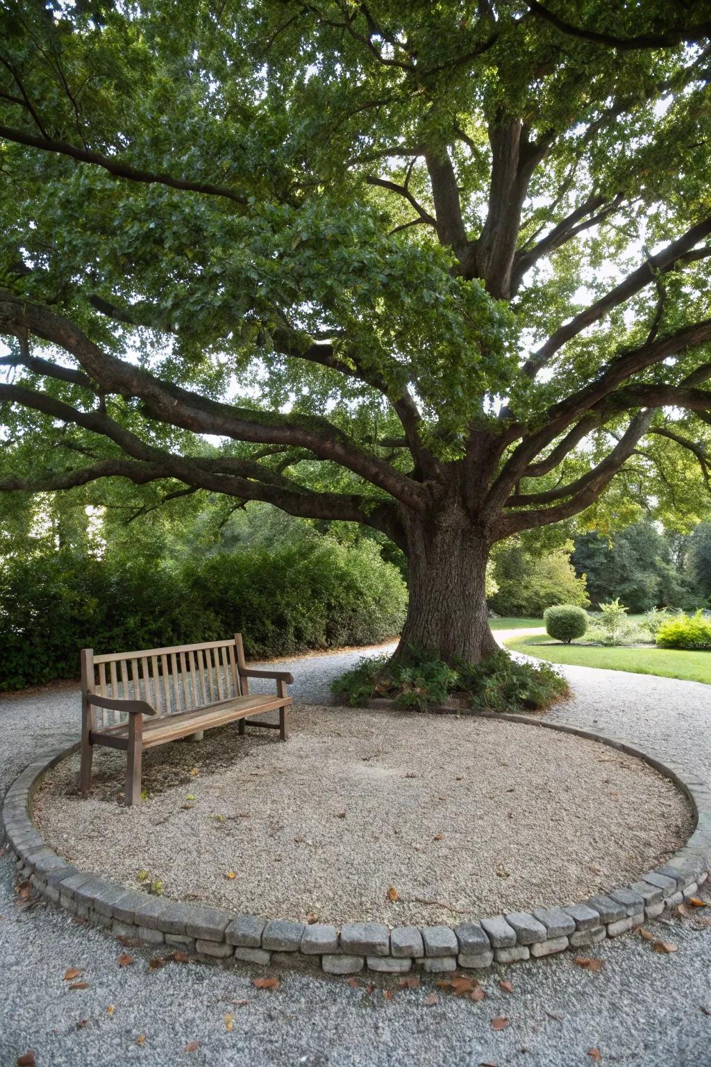 A decorative circle highlighting a majestic tree.