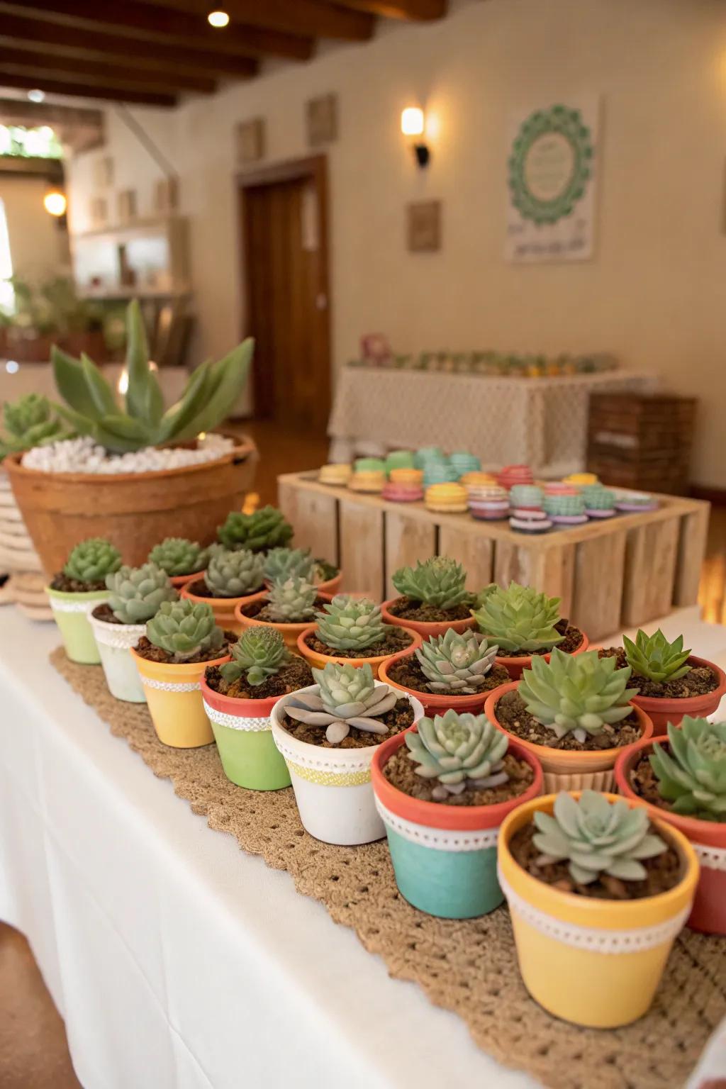 Potted succulents make thoughtful and lasting favors.