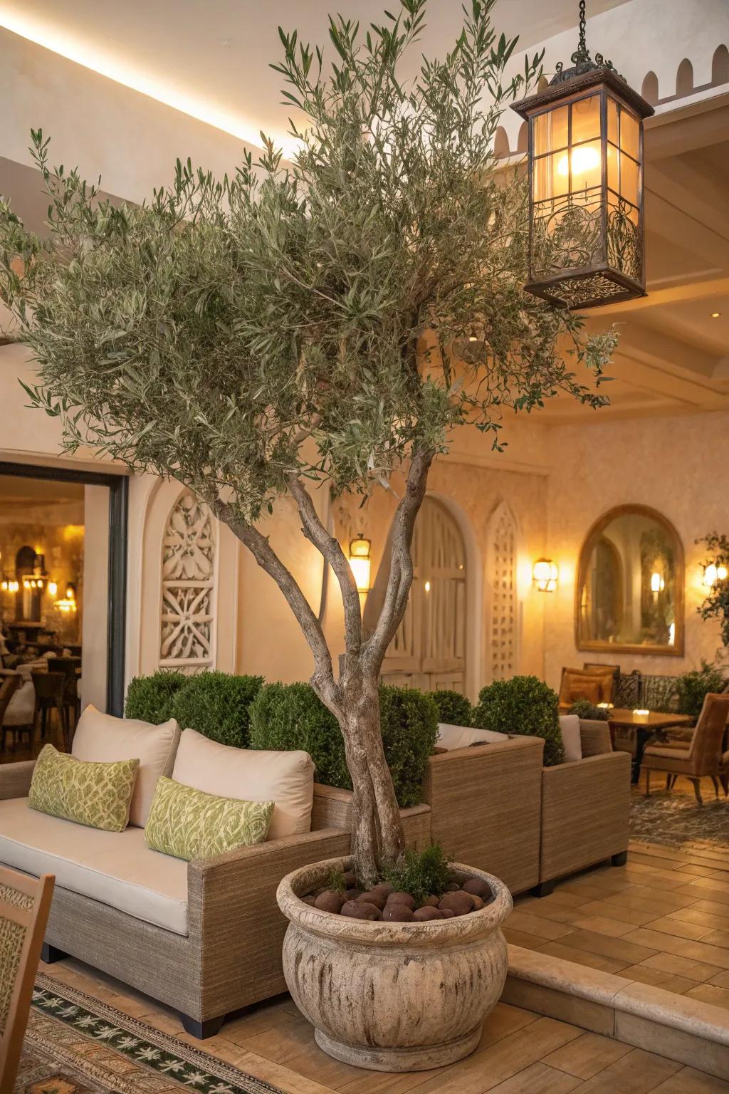 Create a Mediterranean lounge with a faux olive tree.