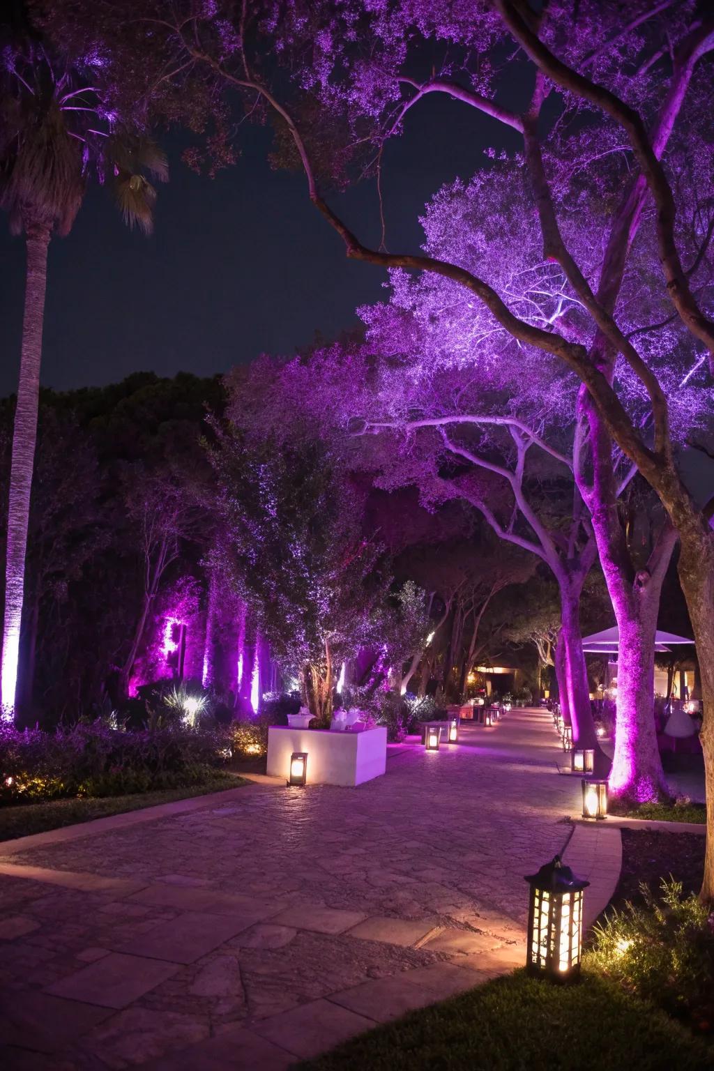 A magical outdoor space aglow with purple-themed lights.
