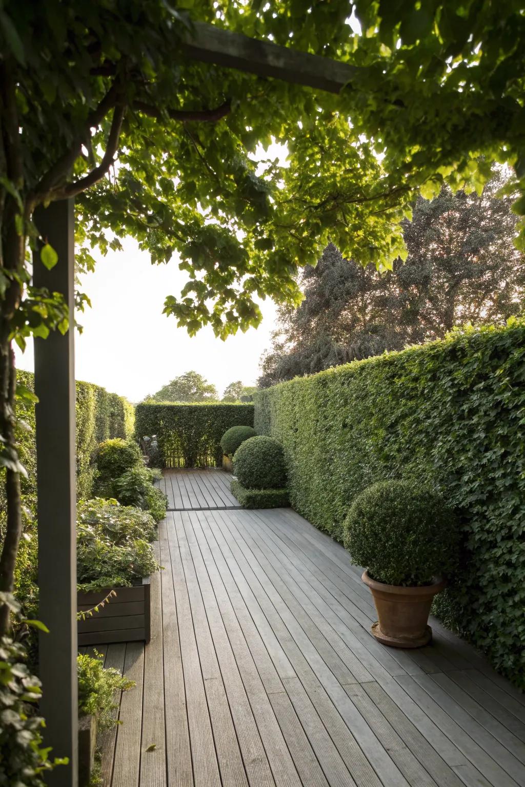 Hedge walls provide a natural and eco-friendly shade.