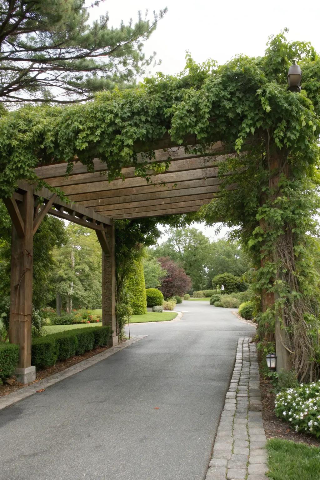 A pergola adds architectural interest and elegance to this entrance.