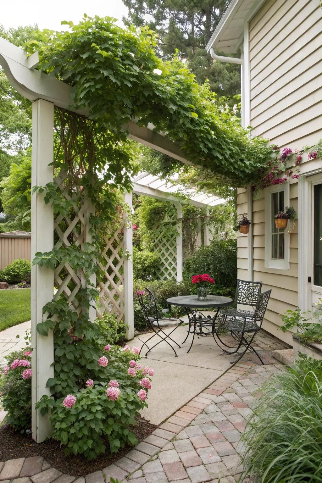 Trellises offer both privacy and a touch of greenery.