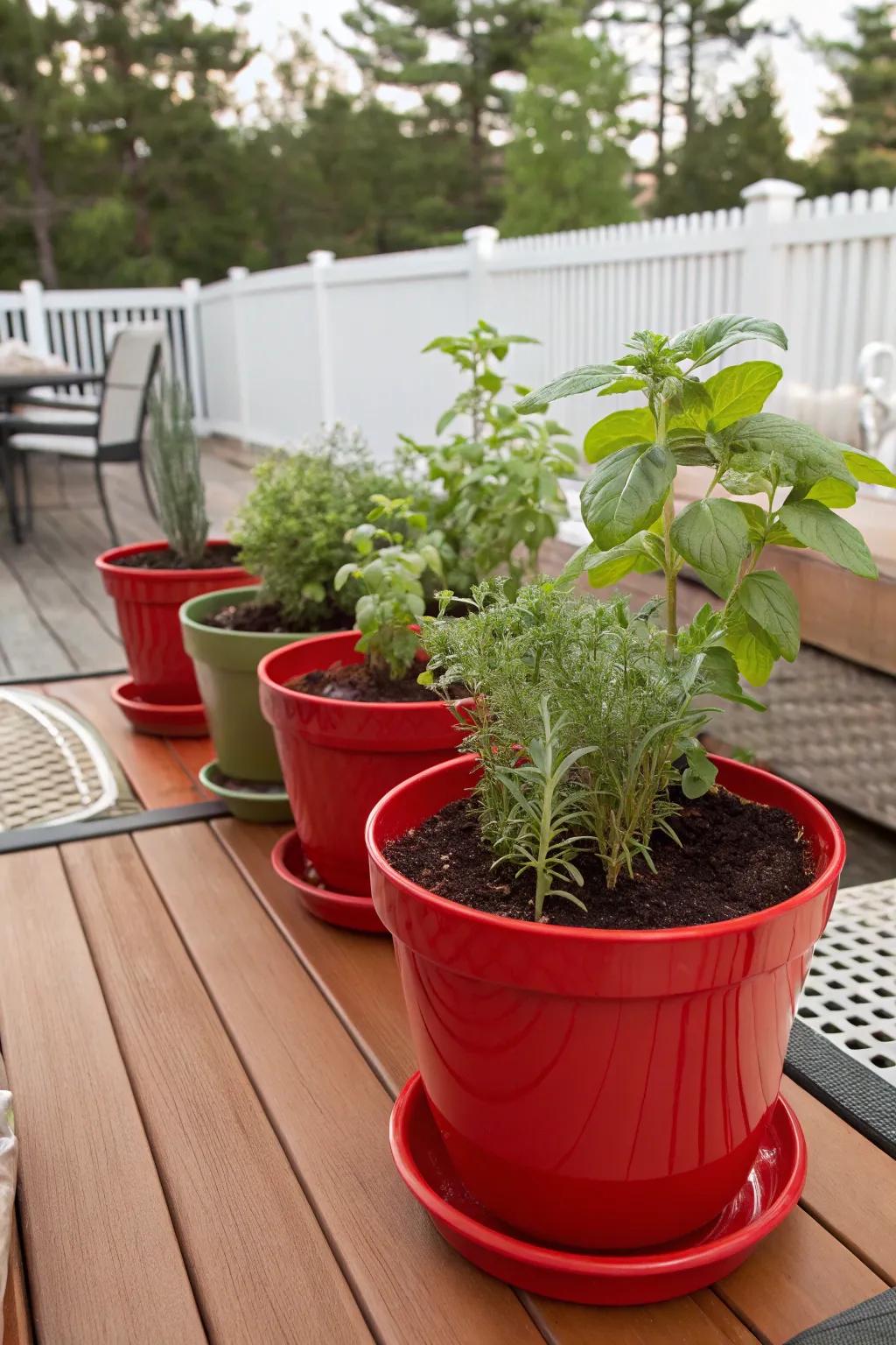 Red pots enhance a charming herb garden.