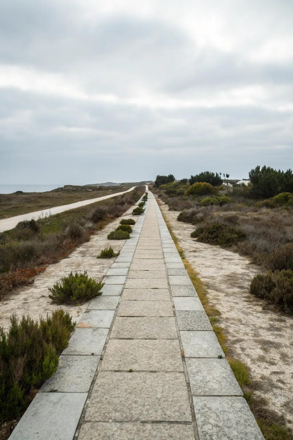 A minimalist stone arrangement offers a sleek and modern path design.