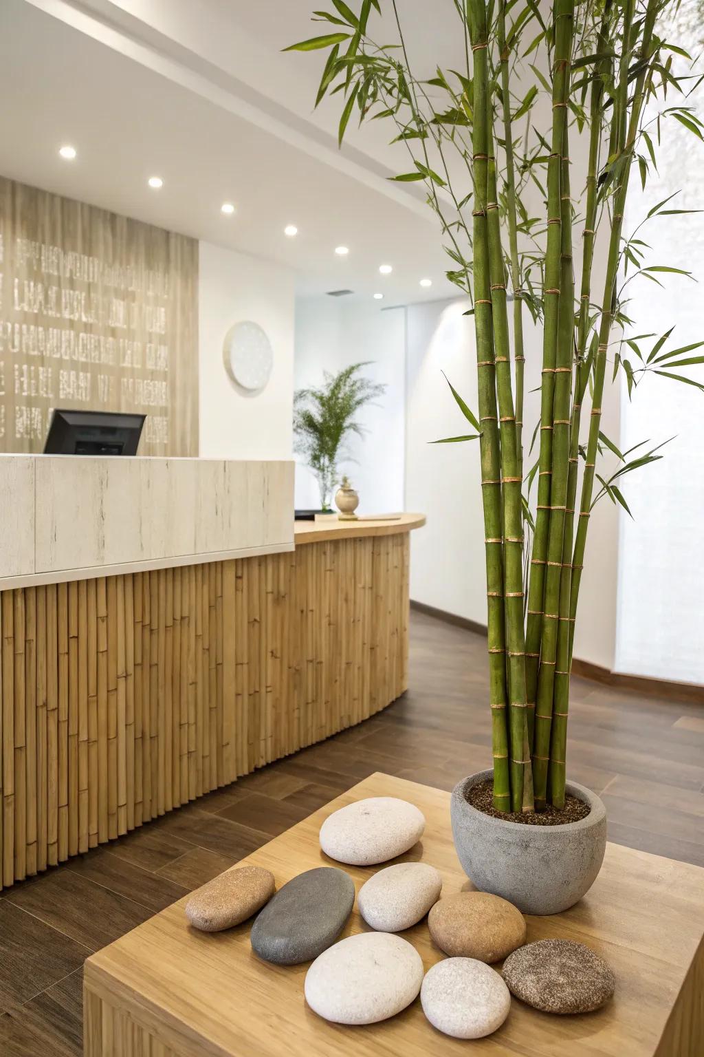 A peaceful and Zen-inspired reception area.