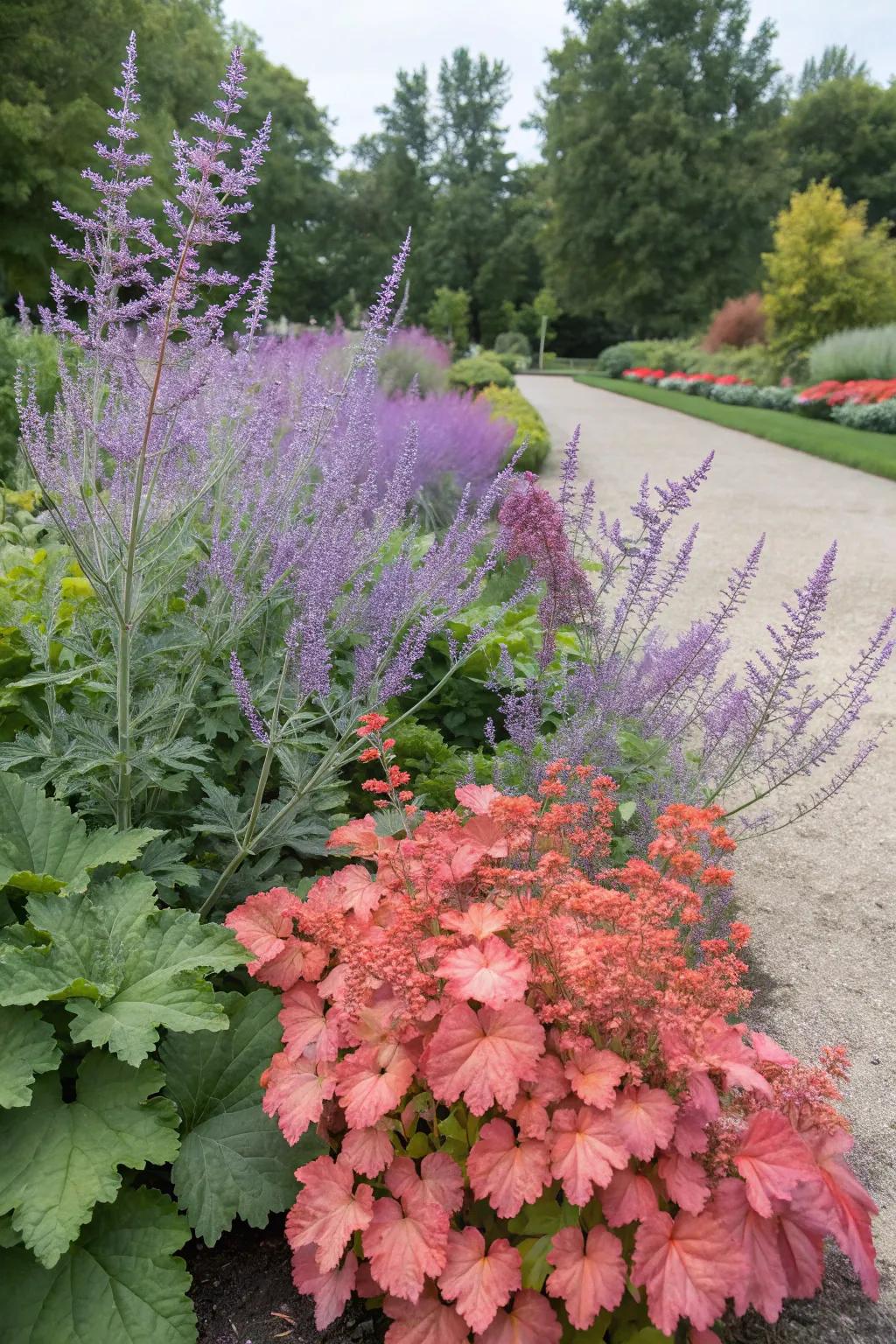 An unexpected garden pairing: Silver Queen meets bellflowers.
