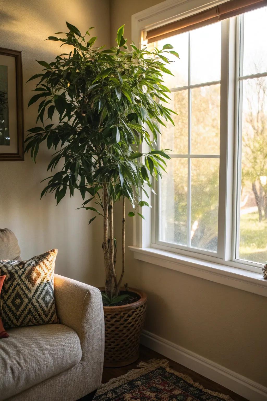 Invite nature inside with a striking indoor plant.