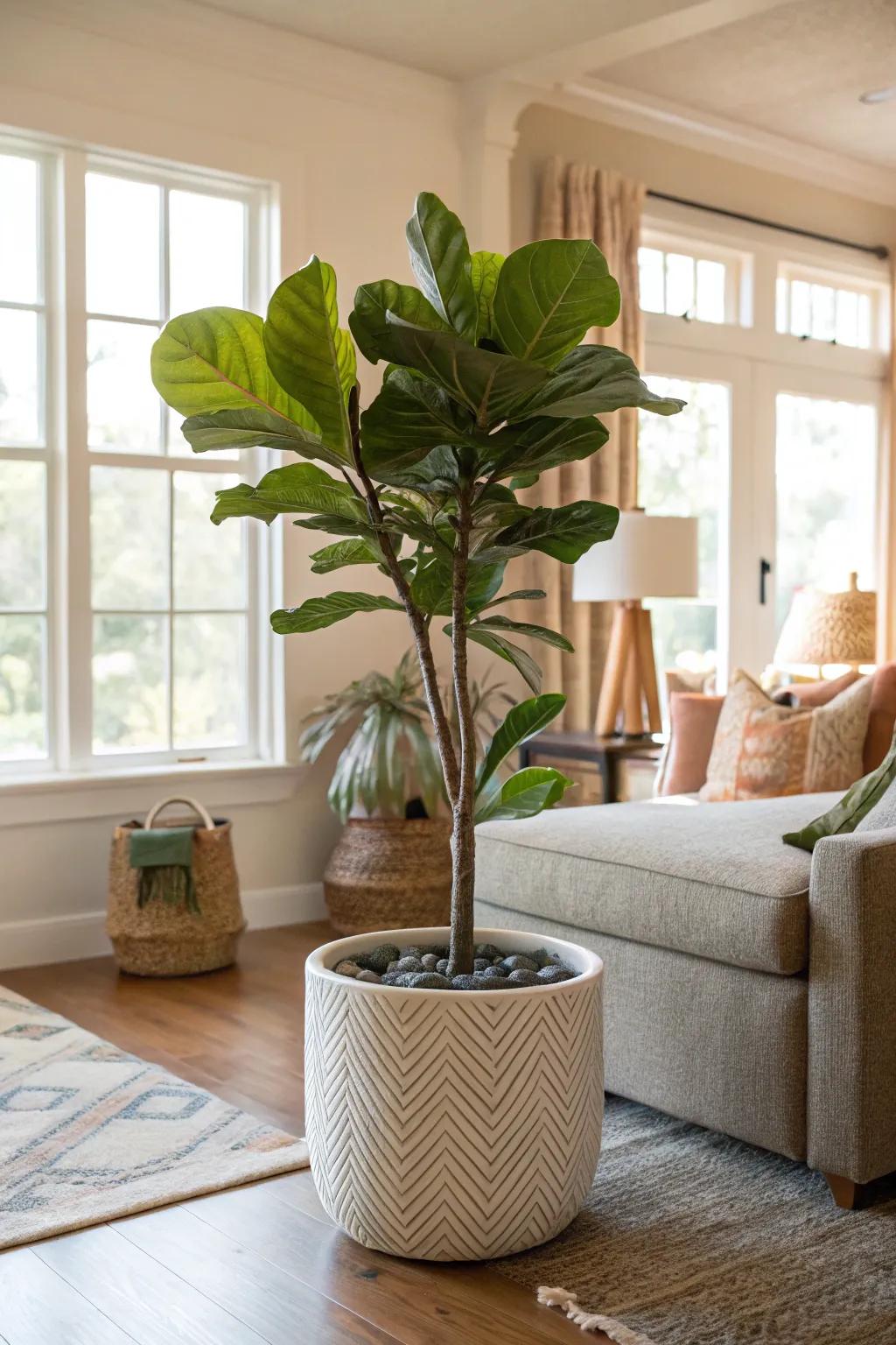 Bring nature indoors with a statement plant.