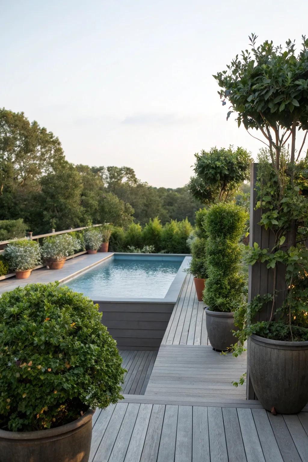 Tall planters provide privacy and a touch of seclusion.