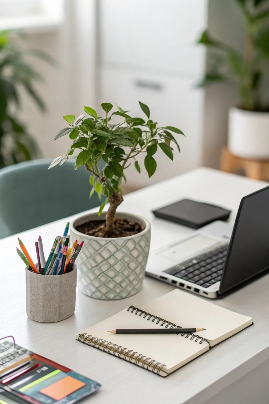 Add life to your desk with a touch of greenery.