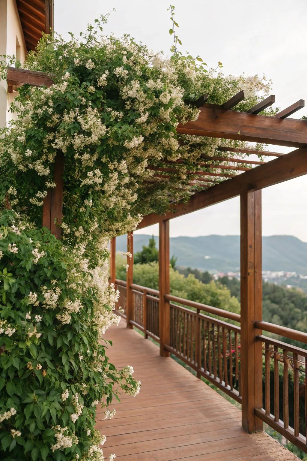A trellis with climbing vines crafts a natural overhead retreat.
