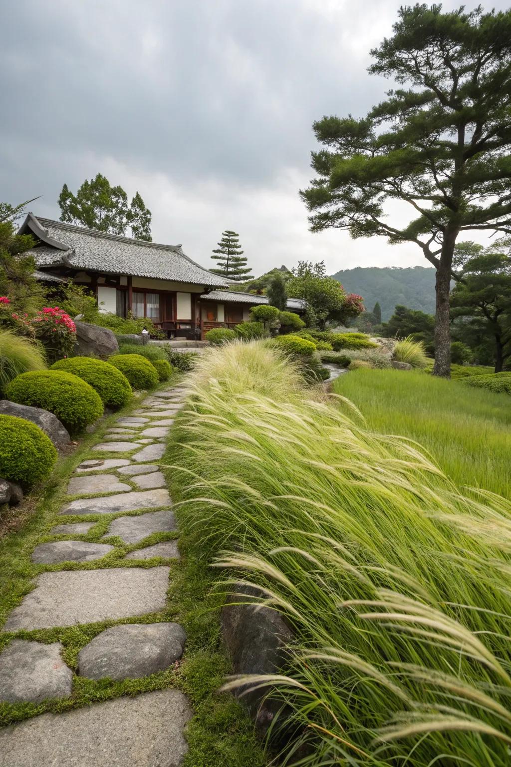 Hakone Grass introduces movement and life to the garden.