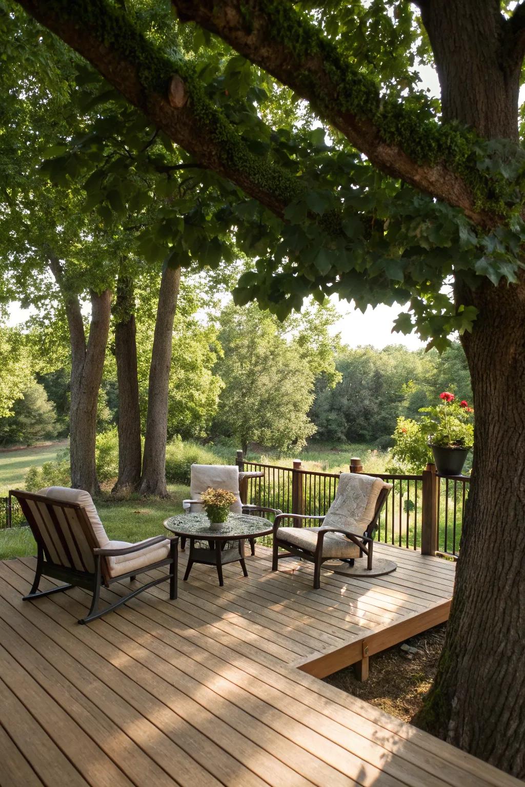 Natural shade from trees creates a serene and eco-friendly deck environment.