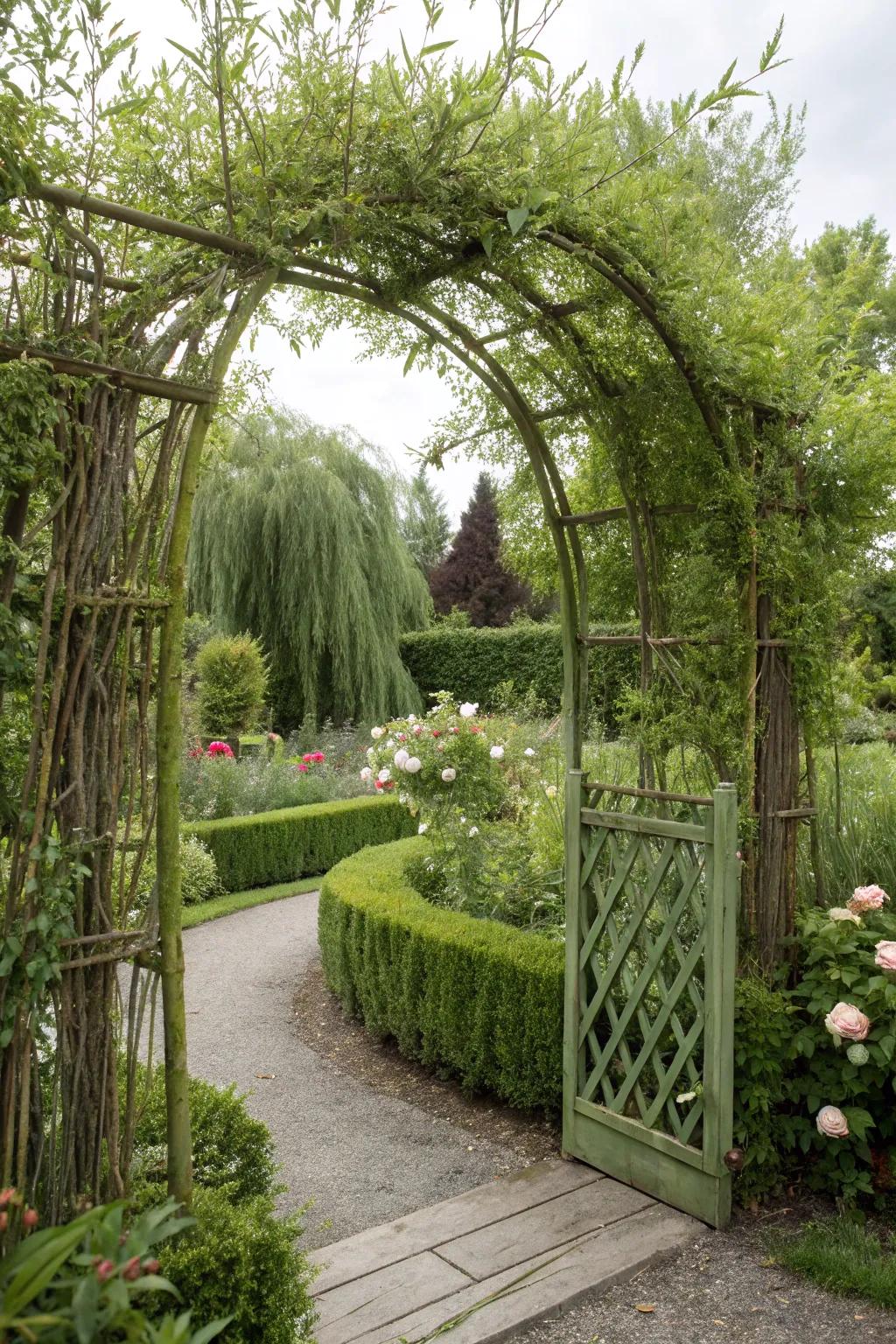 A living willow gate that harmonizes with nature.