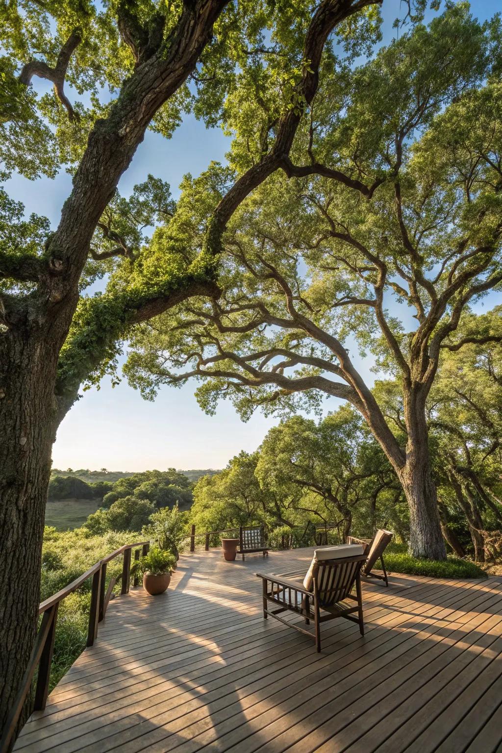 Shade trees add natural charm and comfort to your deck.