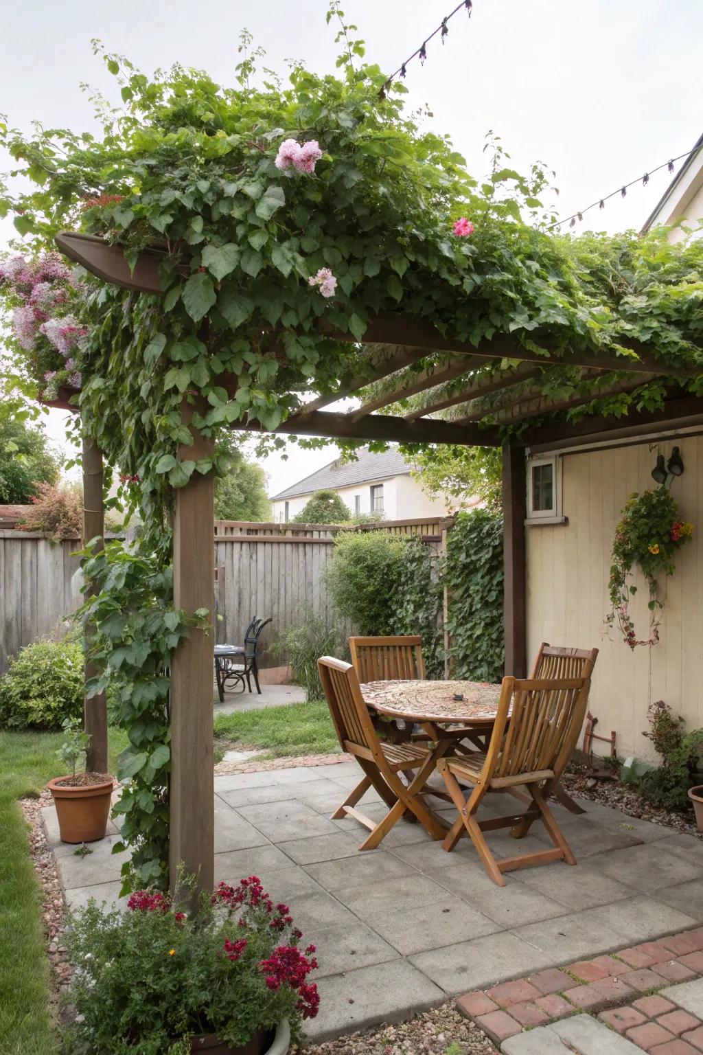 A pergola offers a shaded retreat in the heat of the day.