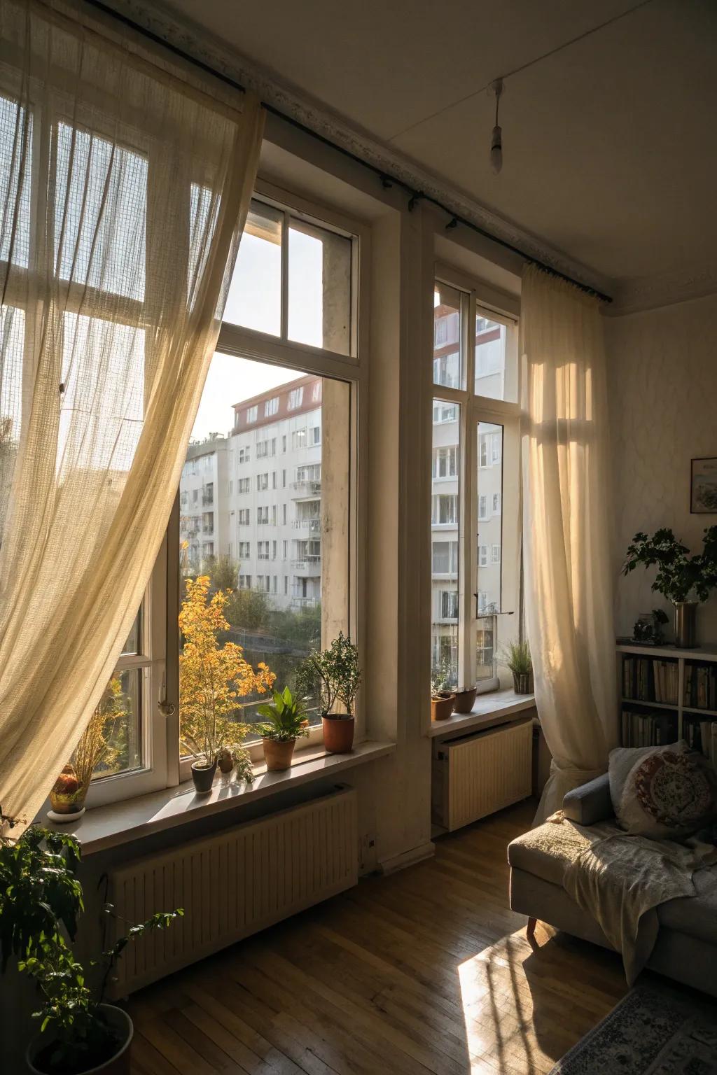 Natural light can make your apartment feel brighter and more spacious.
