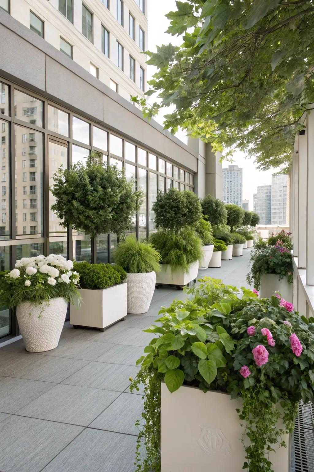 Greenery and planters bring life and color to your terrace.