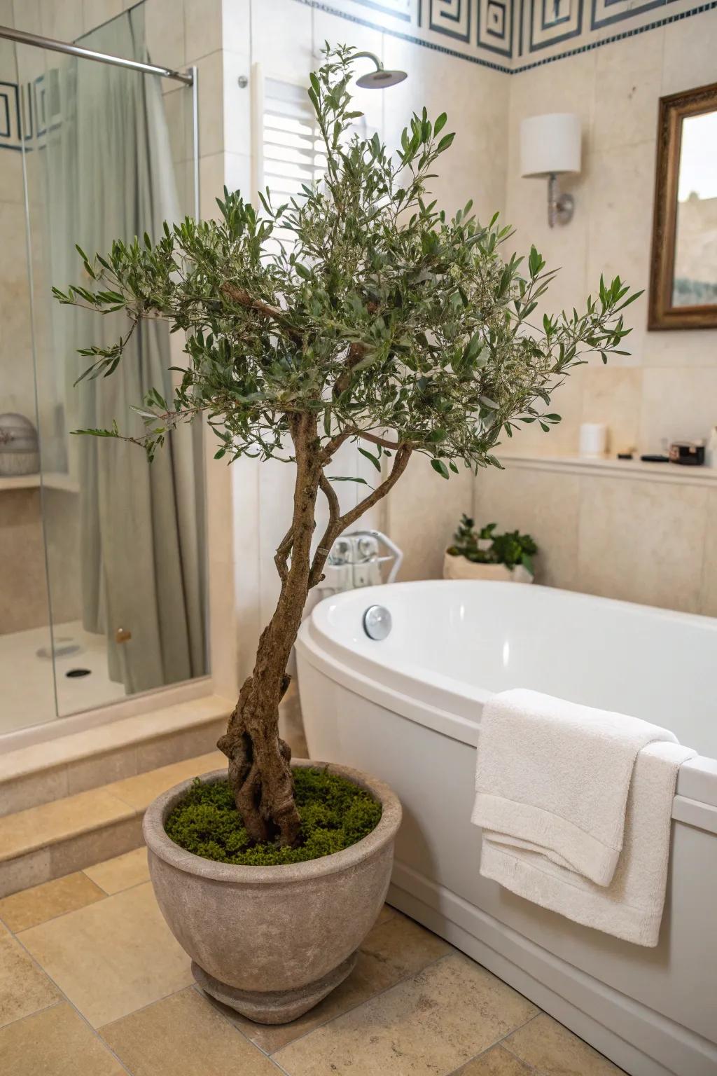 Bring serenity to your bathroom with a faux olive tree.